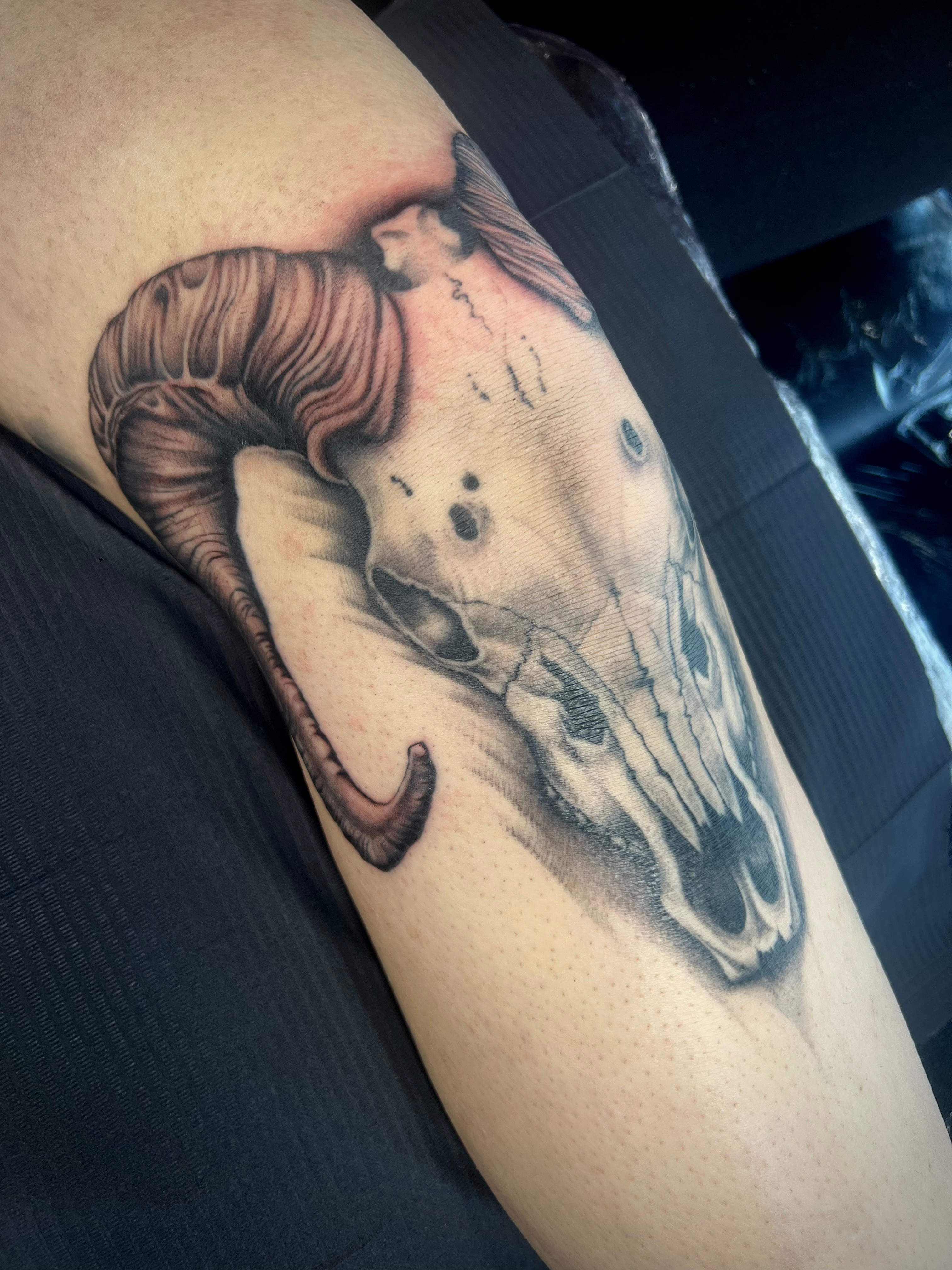 Ram skull tattoo