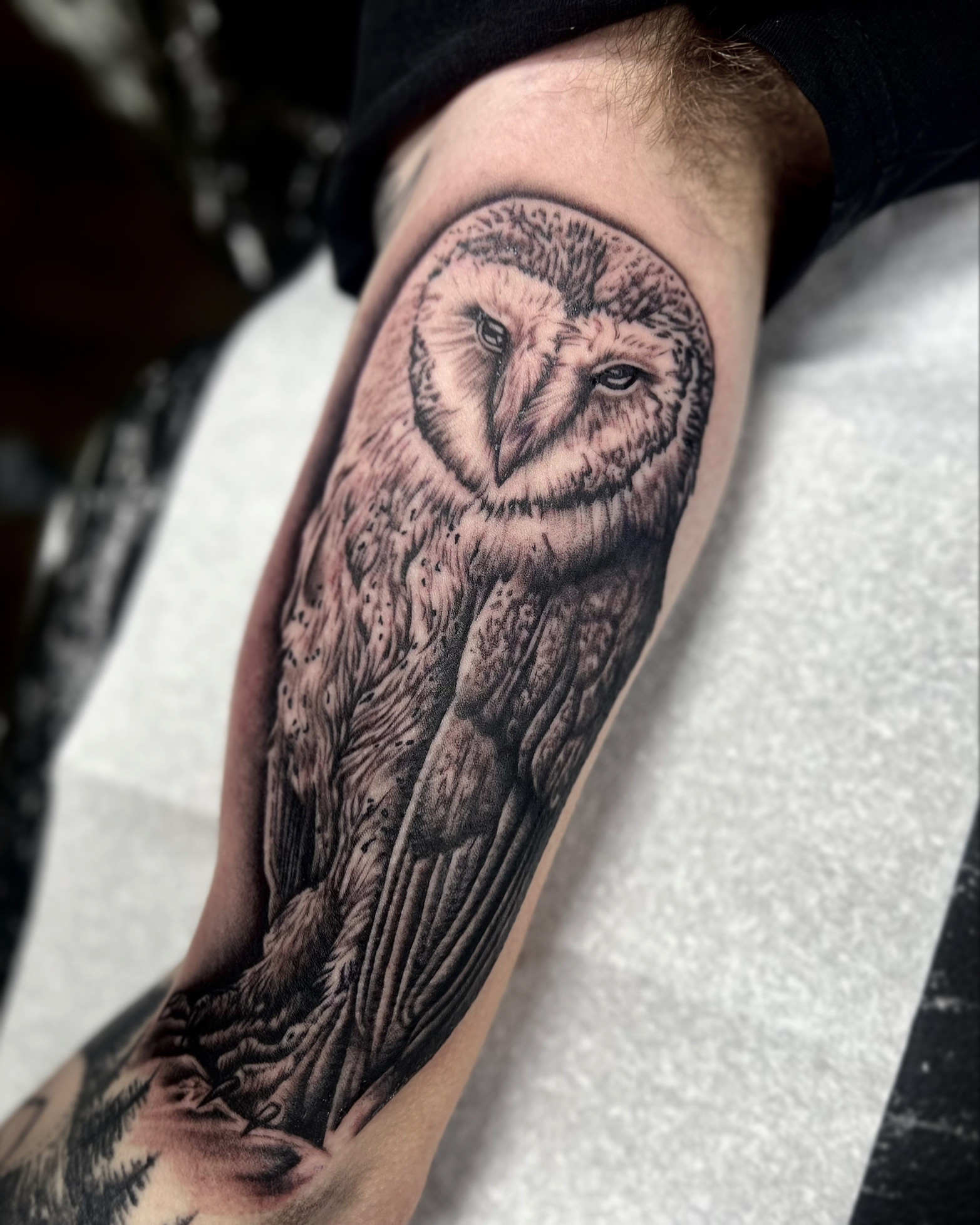 Realistic owl tattoo