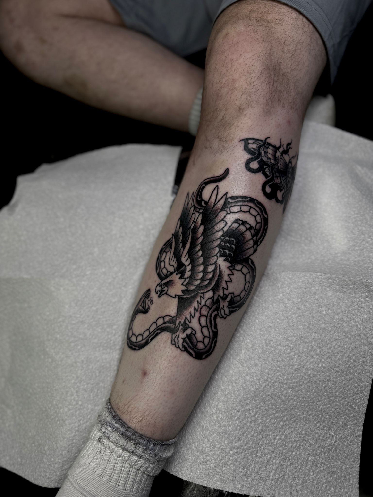 snake and eagle